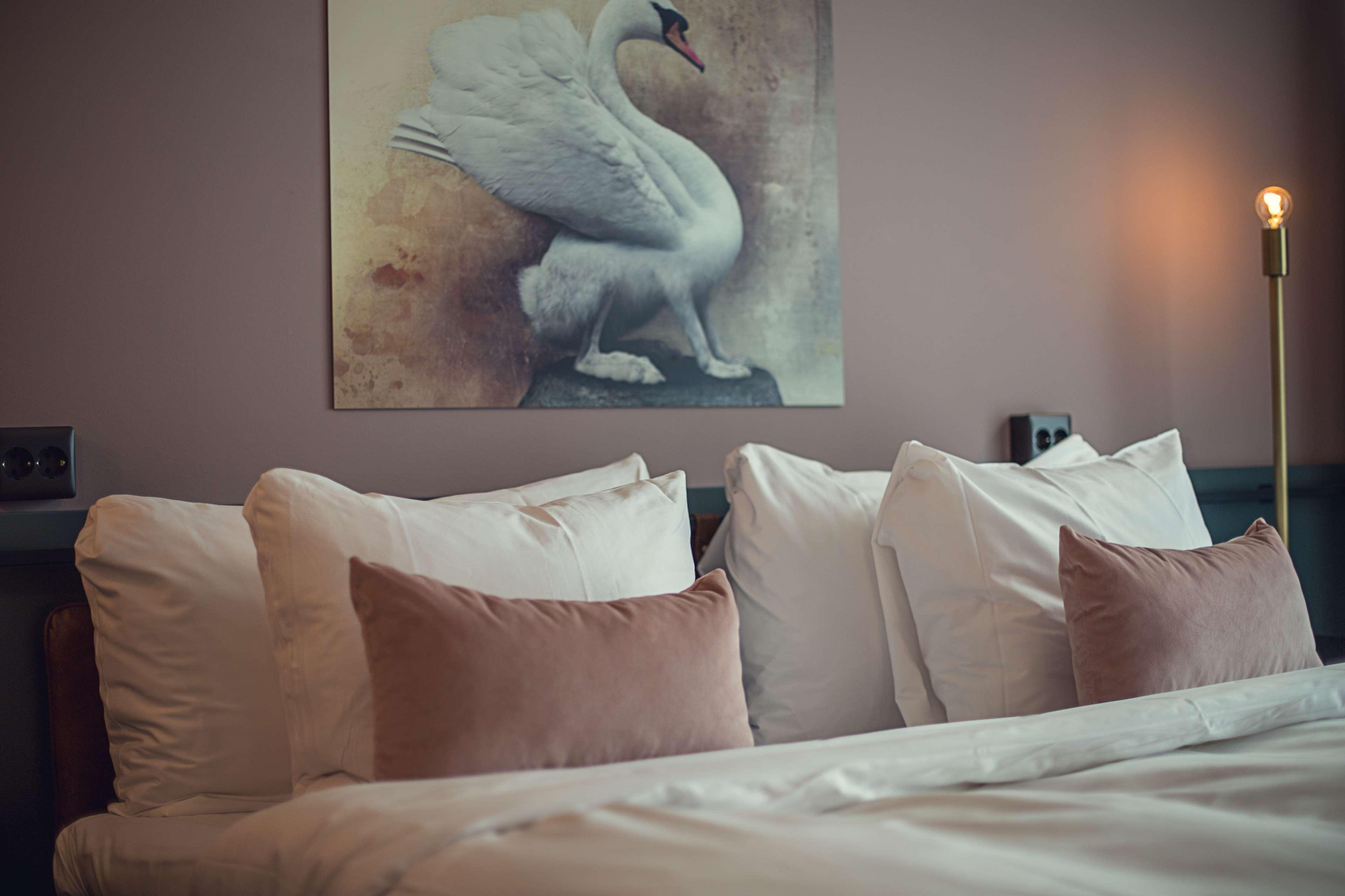 Best Western Plus Fort Worth Forest Hill Inn & Suites Екстер'єр фото