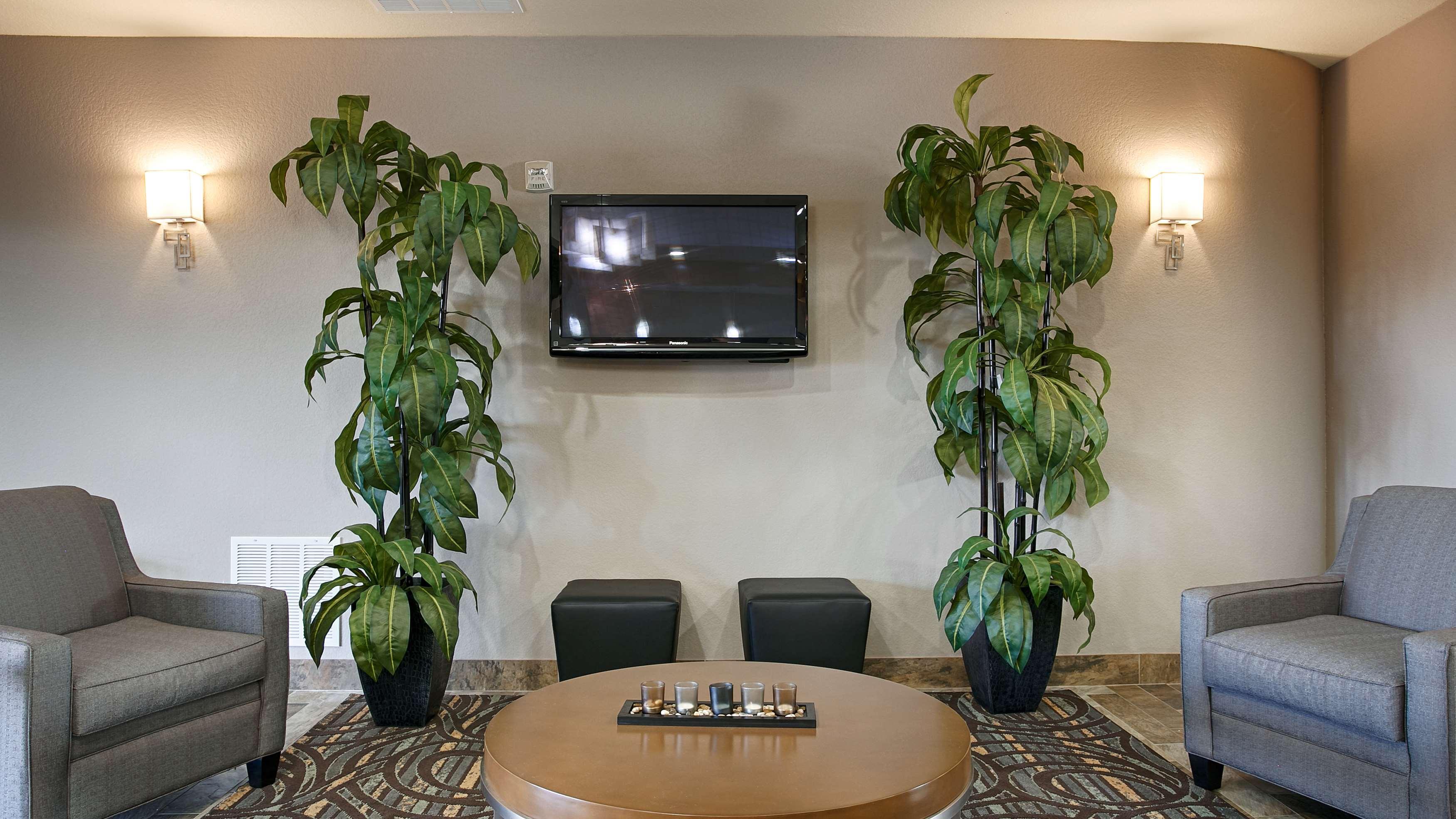 Best Western Plus Fort Worth Forest Hill Inn & Suites Екстер'єр фото
